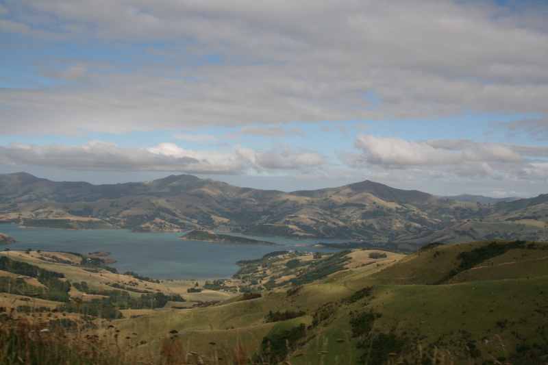 Nieuw-Zeeland 2011 - 2114